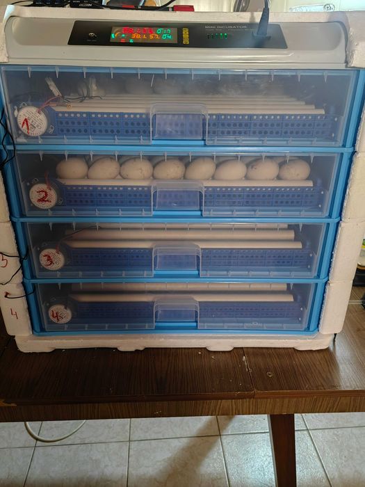 Инкобатор за 400 кокоши Яйца