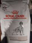 Кучешка храна ROYAL CANIN