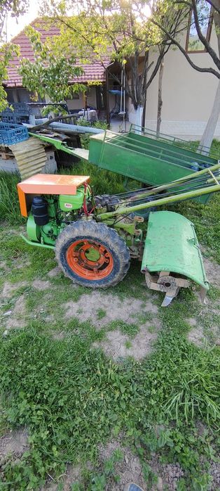 AGRIO Agria Stare perfecta Adus din Spania