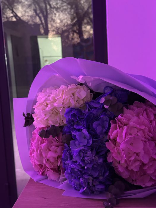 цветы гортензии