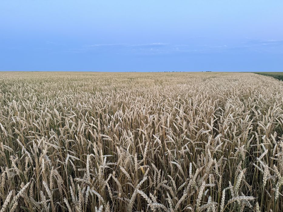 продам пашню 1000 га