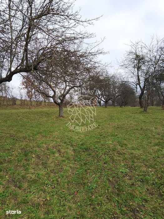 Teren 3966 mp-2 deschideri-curent-investitie-Budacu de Jos