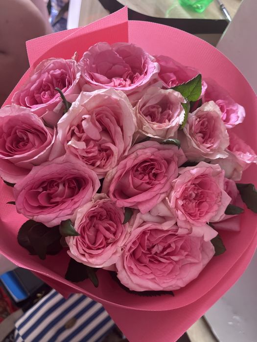 Цветы низкие цена