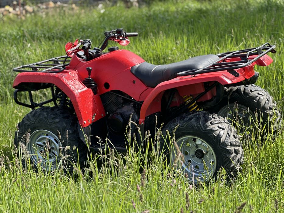 Yamaha grizzly 350 2007 (bruin raptor)