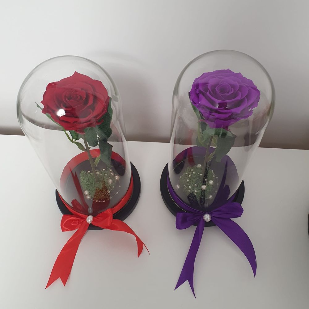 Trandafiri criogenati naturali conservati in cupole de sticla