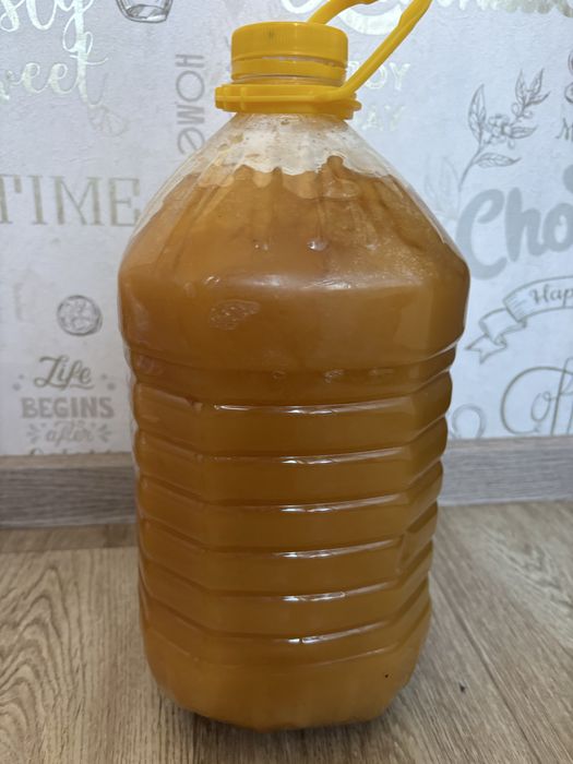 Продам мед 2025