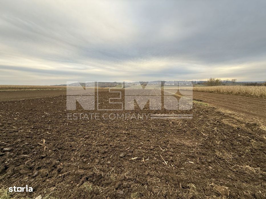 Teren 10.000 mp | Grănicesti | Lângă E85 | Front 25 m