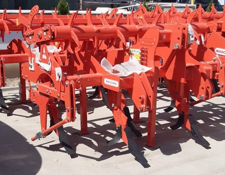 Maschio PINOCCHIO Scarificator PINOCCHIO 250/5 tavalug mecanic