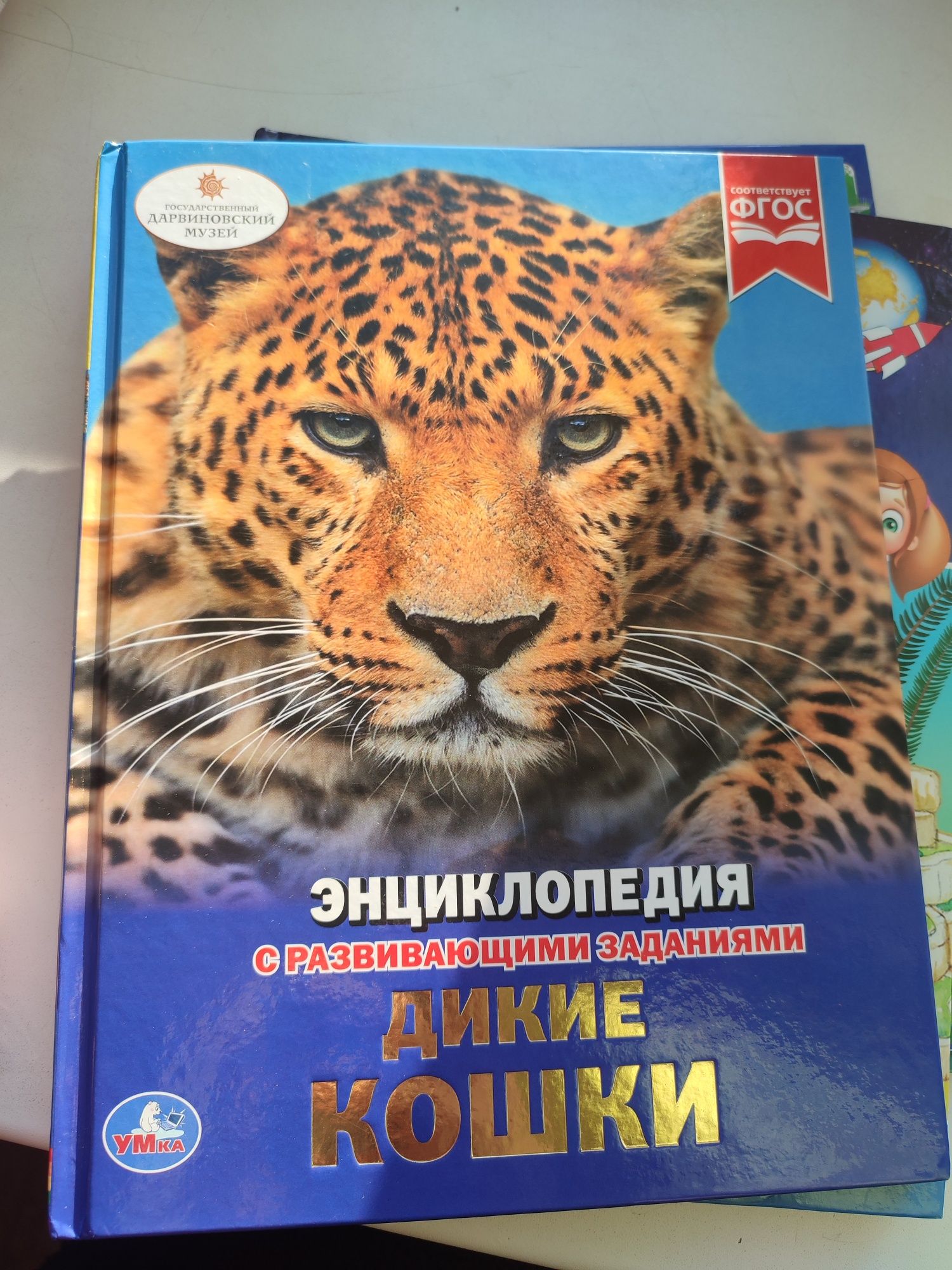 Книги новые для детей.