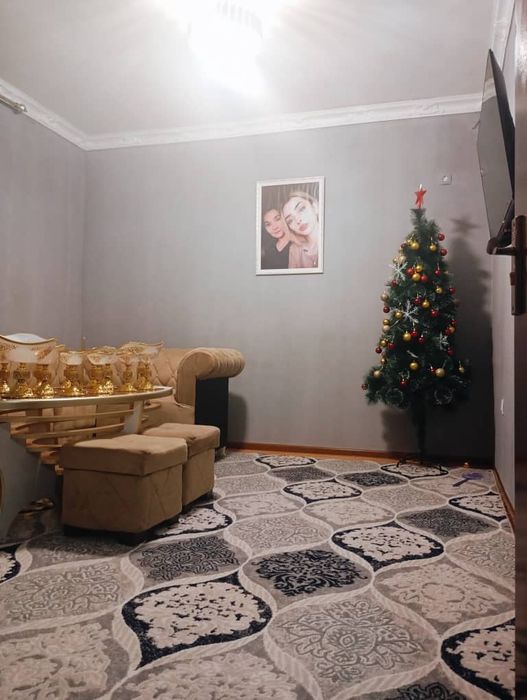 Davlat xizmatlari domlari