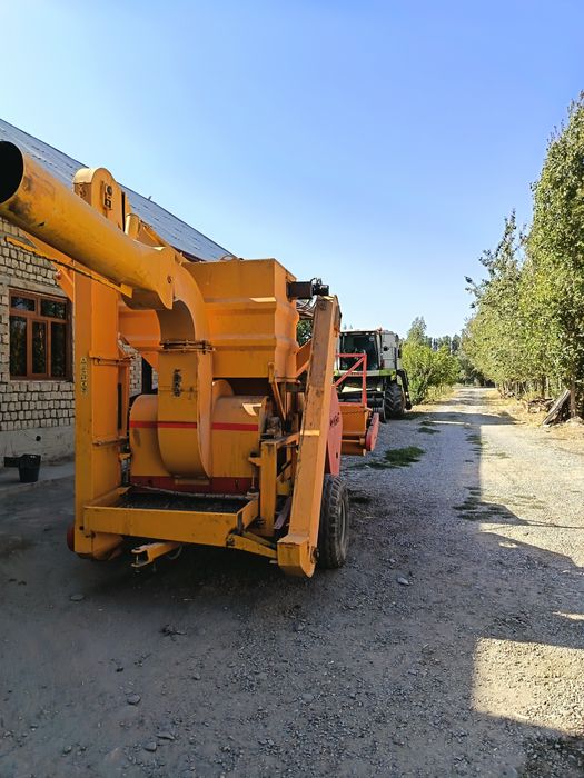 Fasol kombay turkiya