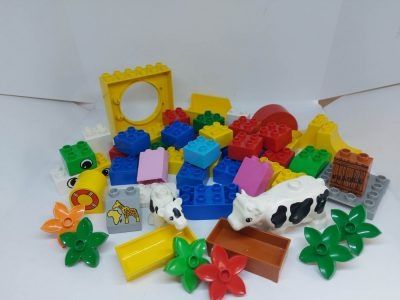 Lego Duplo pachet vrac mixt 0,5 kg (24)