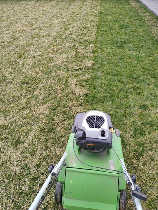 Gradinarit  Gazon Garduri Vii