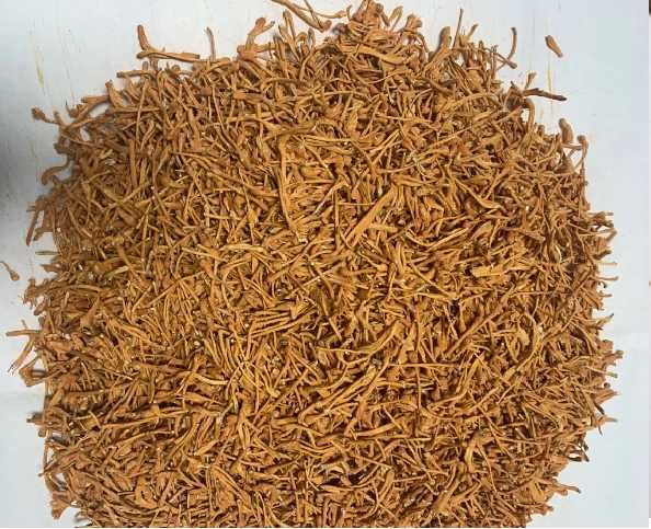 Ciuperci medicinale Cordyceps Militaris uscat 100g