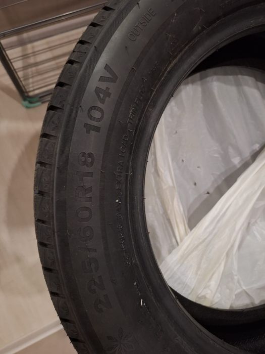 Зимние шины Triangle