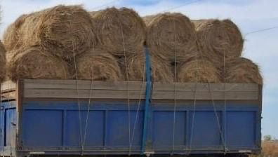 Продам сено в рулонах