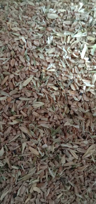 Зерноотходы 3000