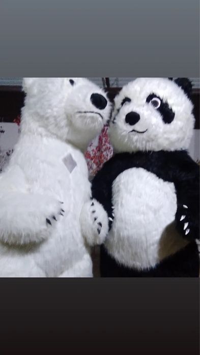 Поздравления от Панды,Белый мишка ,Гориллы