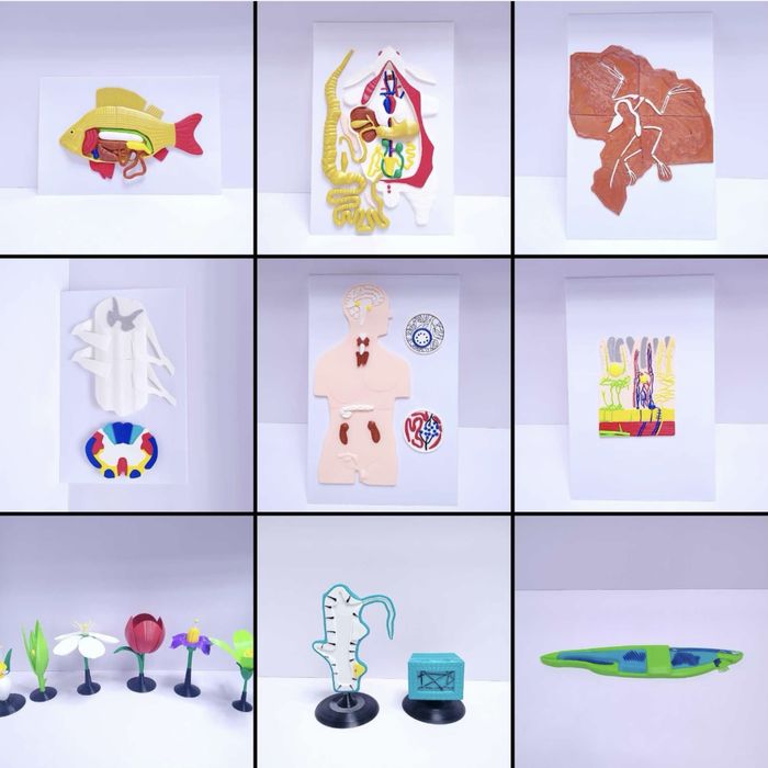 Профессиональные услуги 3D-печати/Professional 3D print xizmatlari