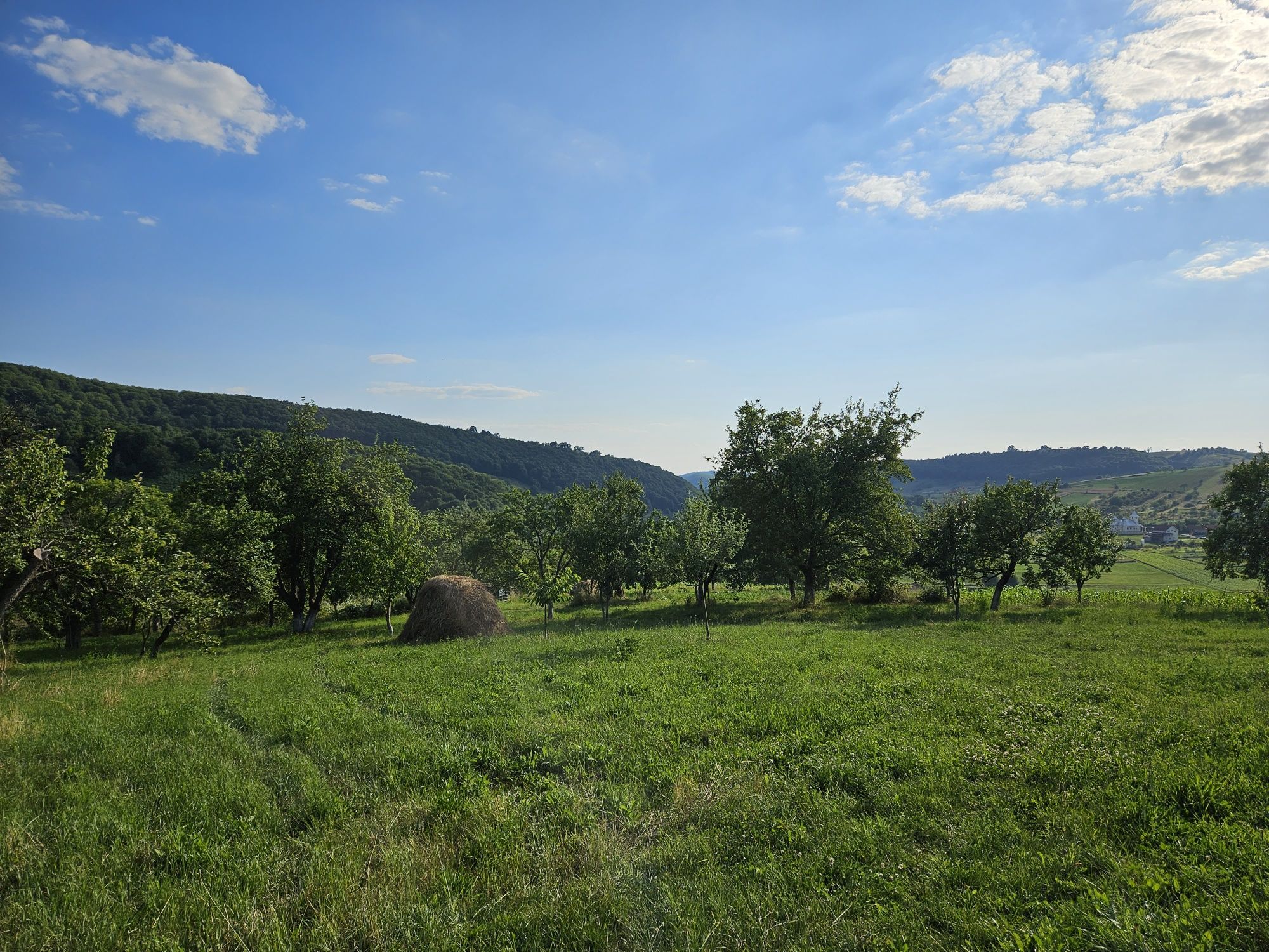 Casa de vanzare loc. Fasca, Bihor