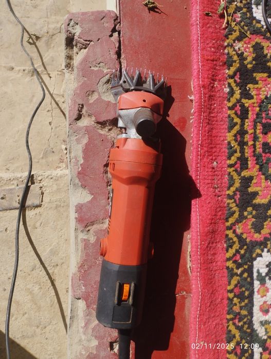 Qõy yungini oladigan aparat sotladi