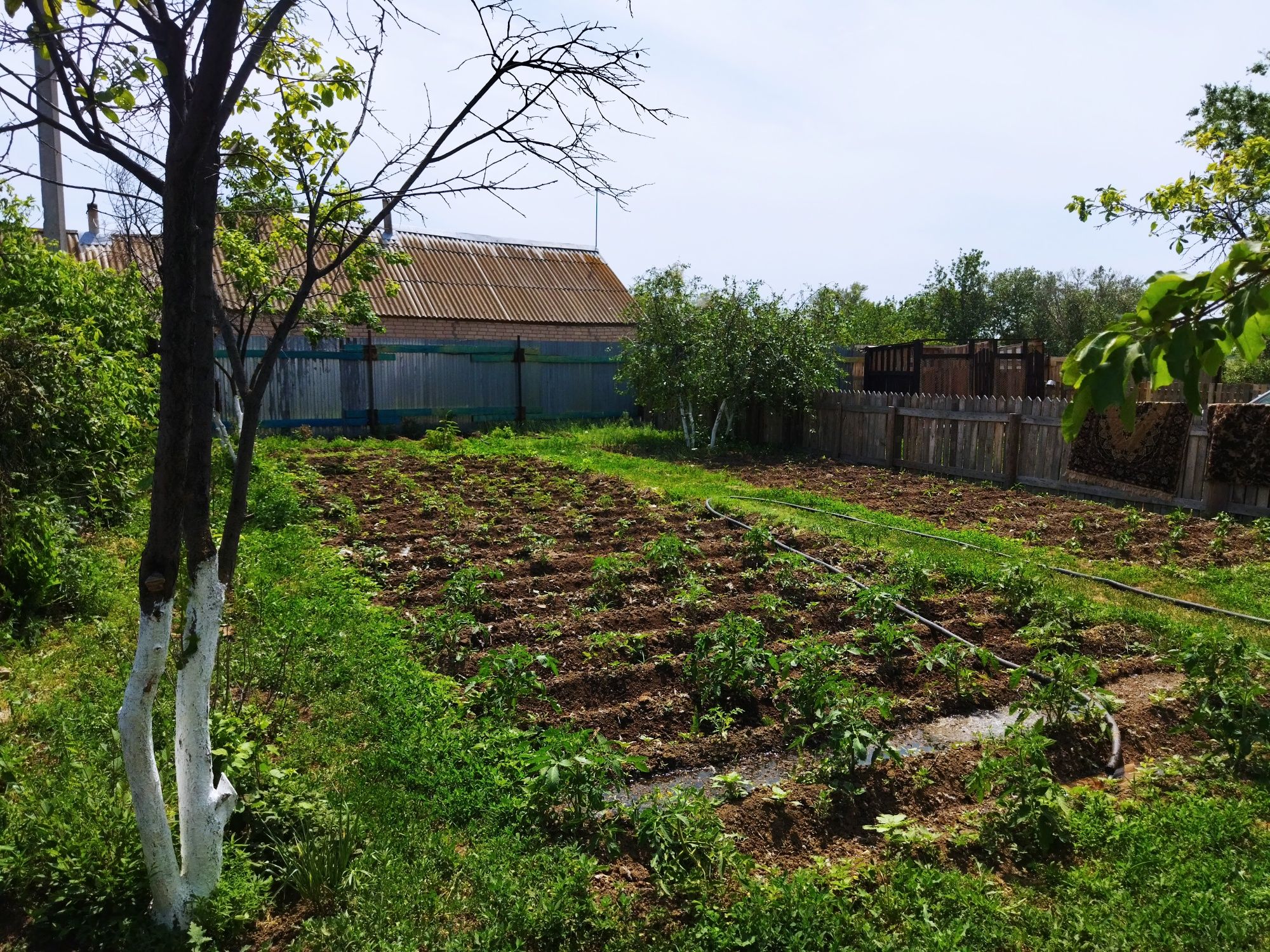 Продам дом в поселке подстепное,