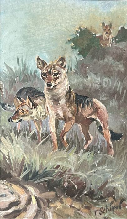 T Schipor 5 Tablouri Tematica Vanatoreasca picturi anii 60 rama 26x35