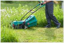 Execut lucrari spatii verzi, la cerere, orice tine de agricultura.