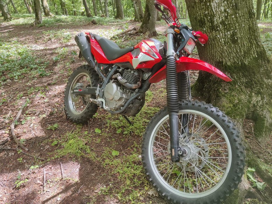 Enduro Beta Alp 350 (Suzuki DR)