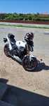 Honda hornet pc 41