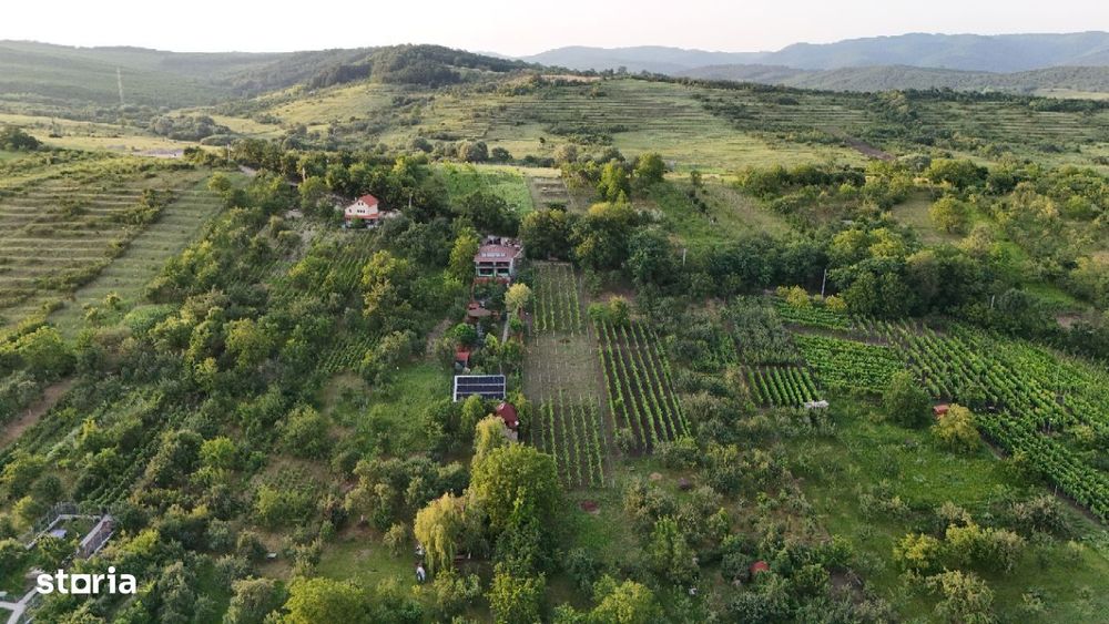 Casă luxoasă în Aleșd, lângă Oradea mai frumoasă și modernă din oraș