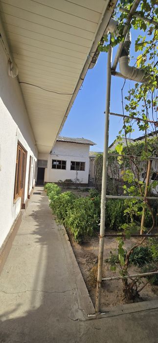 Кибрай 4.52сот.5хона