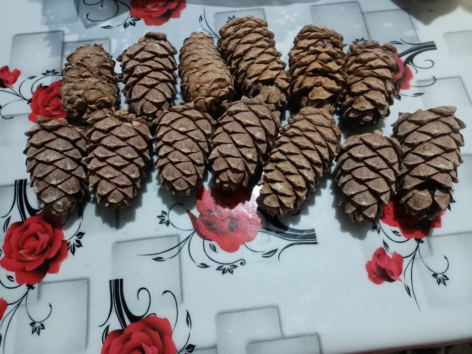 кедровые орехи