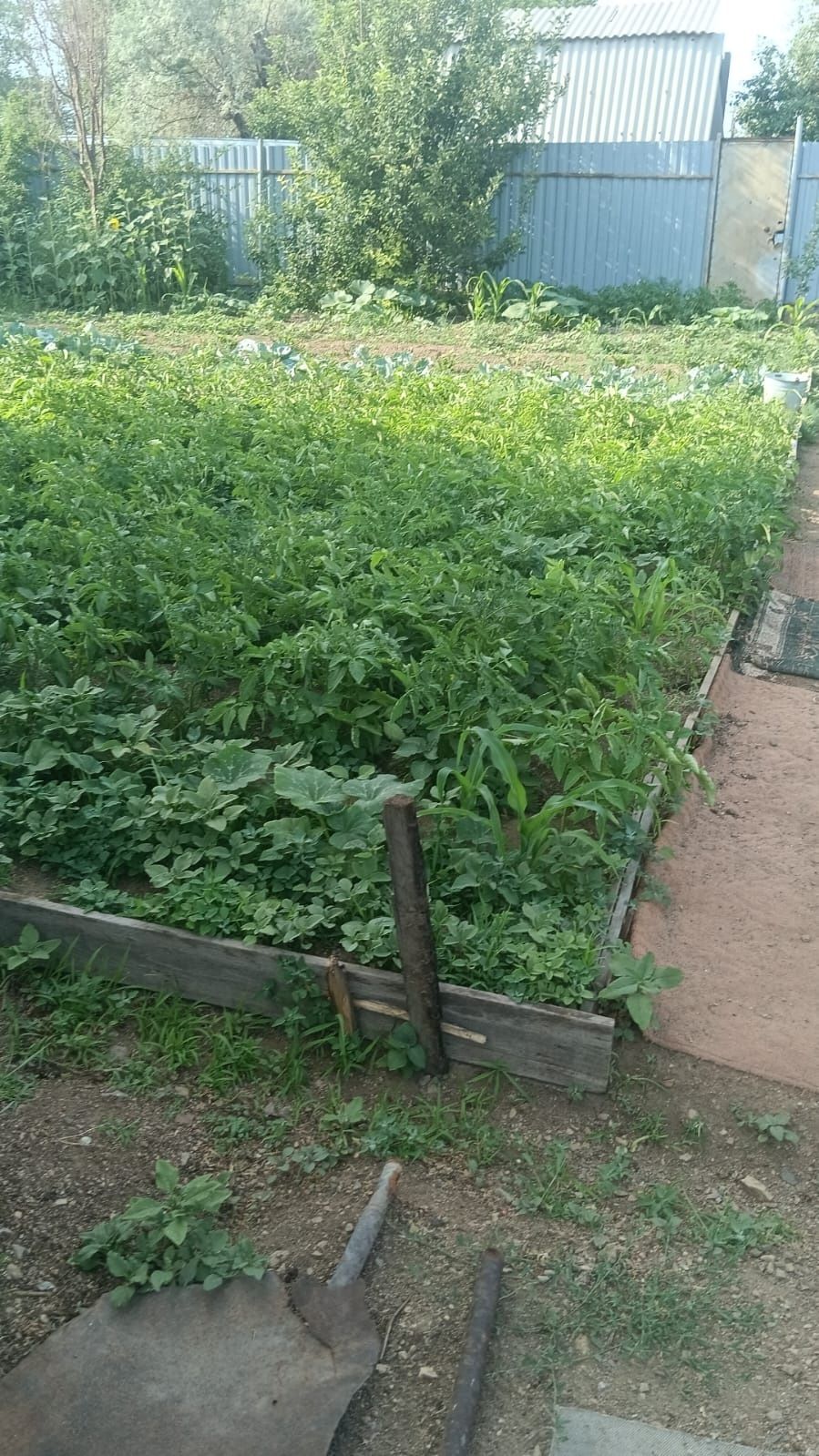 Продается Дача 10 соток
