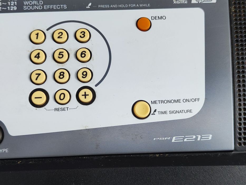 Yamaha psr-e213 .