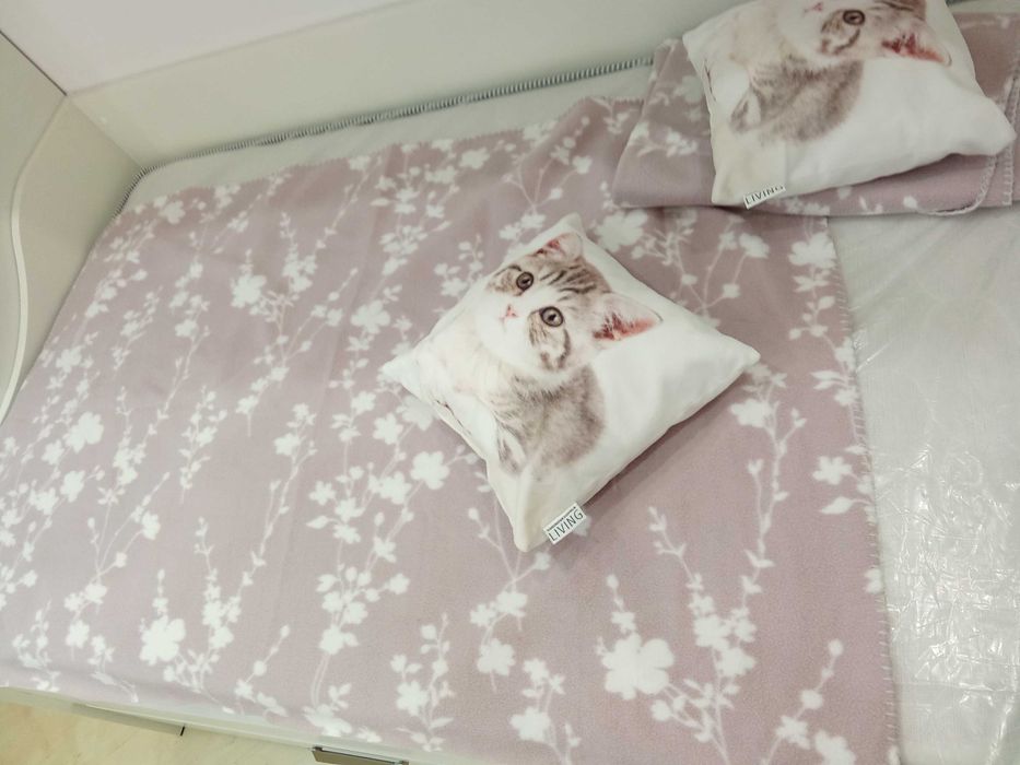 Две одеала с възглавнички за 20 лв.