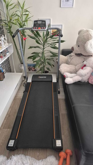 Електрическа пътека