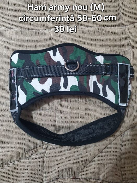 Ham,haine,lesă câini