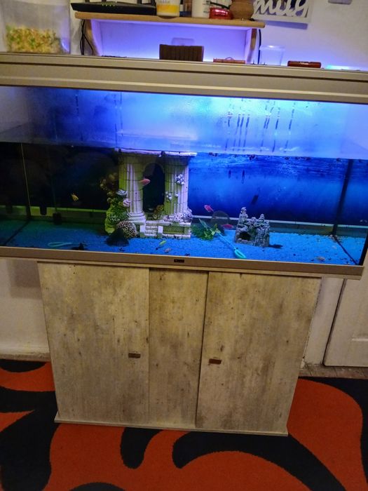 Vând acvarium cu totul