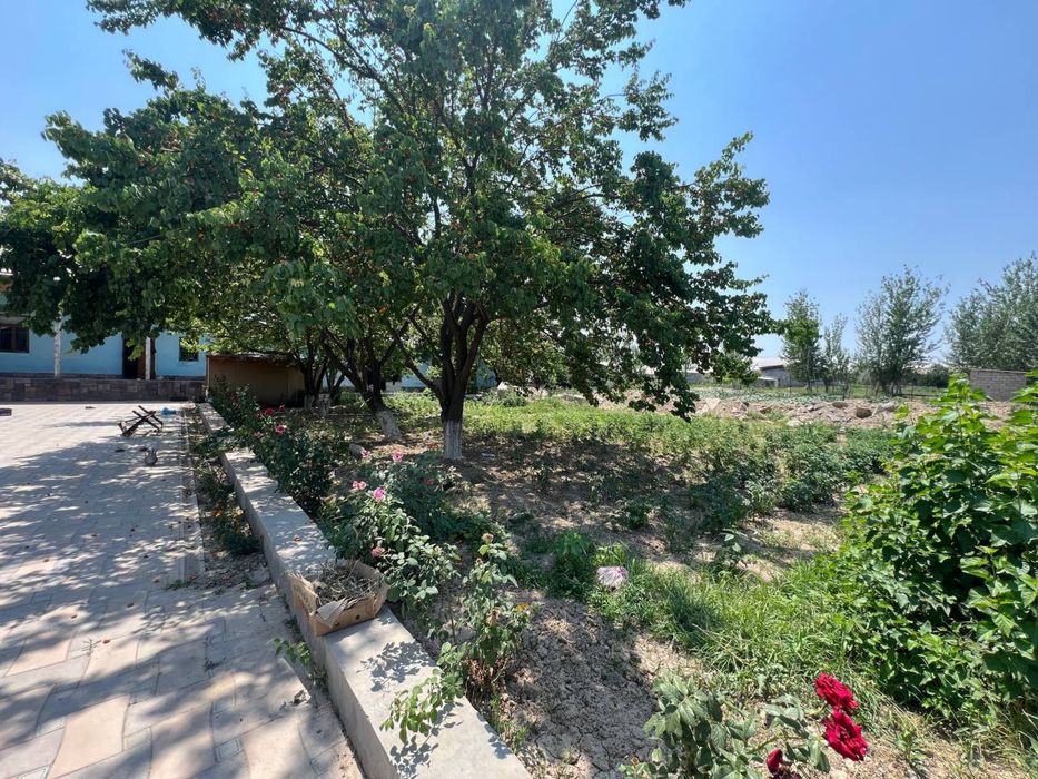 Uy 15 sotix 8 xonadan iborat yolni yuzi asfalt qlingan