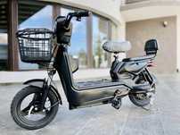 Scuter electric 350W 20 Ah Viteză maxima 25 km/h Limitat