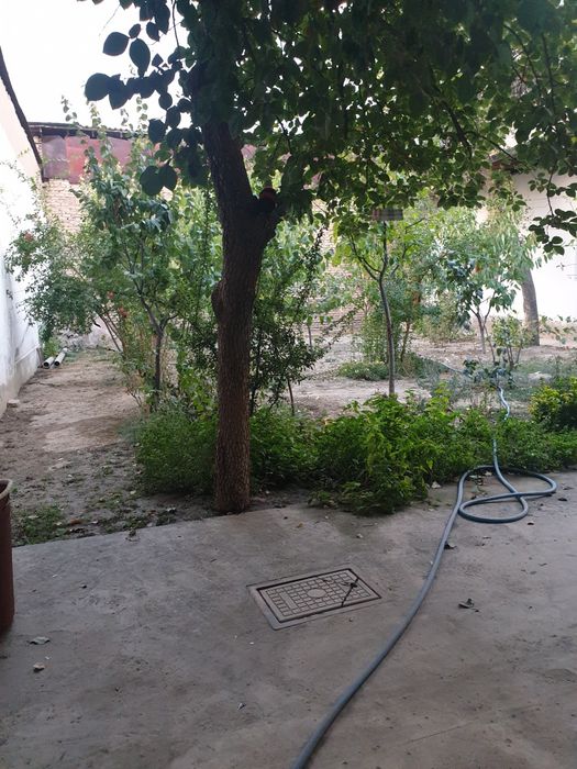 Срочно Продается Дом Центр Луначарского