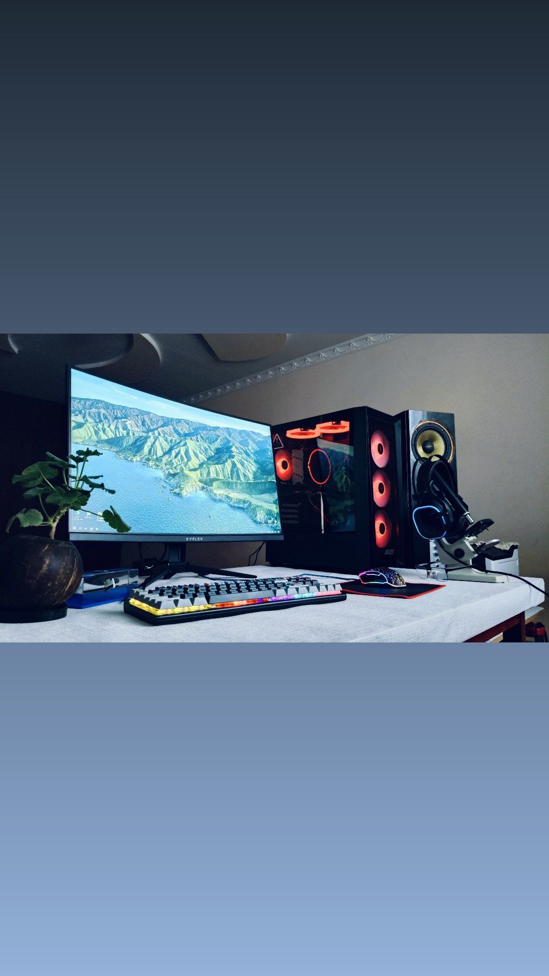 Kompyuter va  monitor