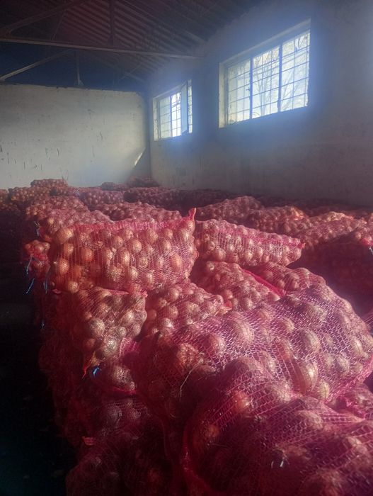 ceapa 0.70 bani kg.  unirea de Braila