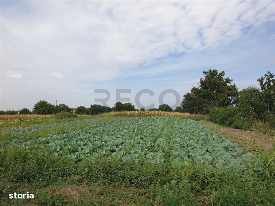 Teren intravilan in Bors cu front la 2 strazi si utilitati