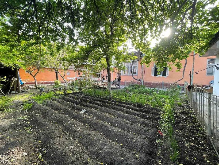 6 сотикли ховли сотилади