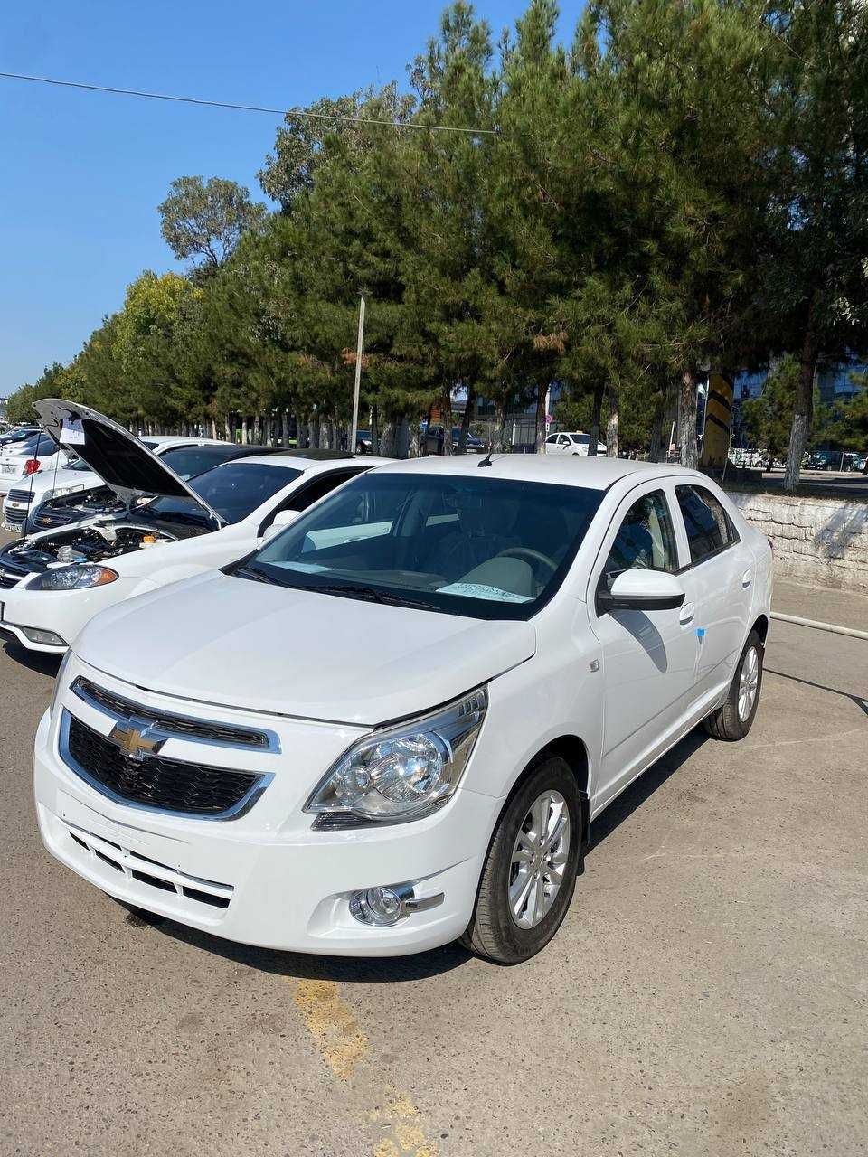 Cobalt naxt va nasiya savdo yillik 10%