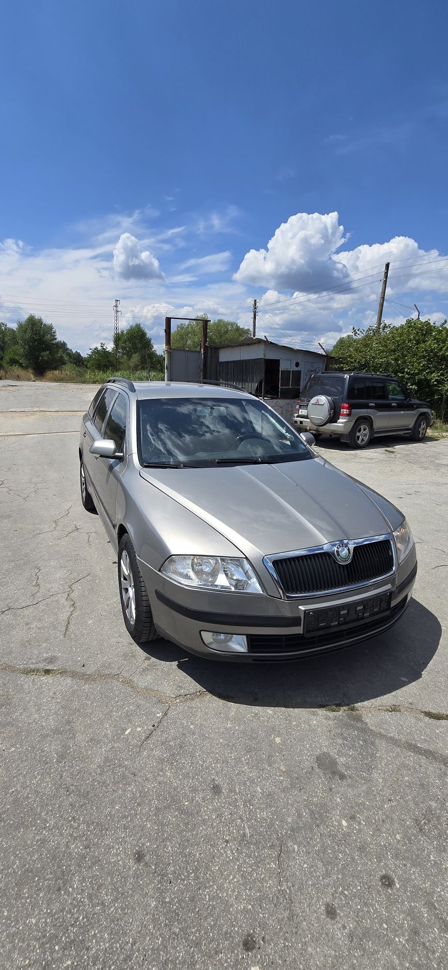 Skoda Octavia 1.9TDI BLS 4x4 на части!