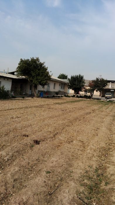 Uchastkalariga sotiladi