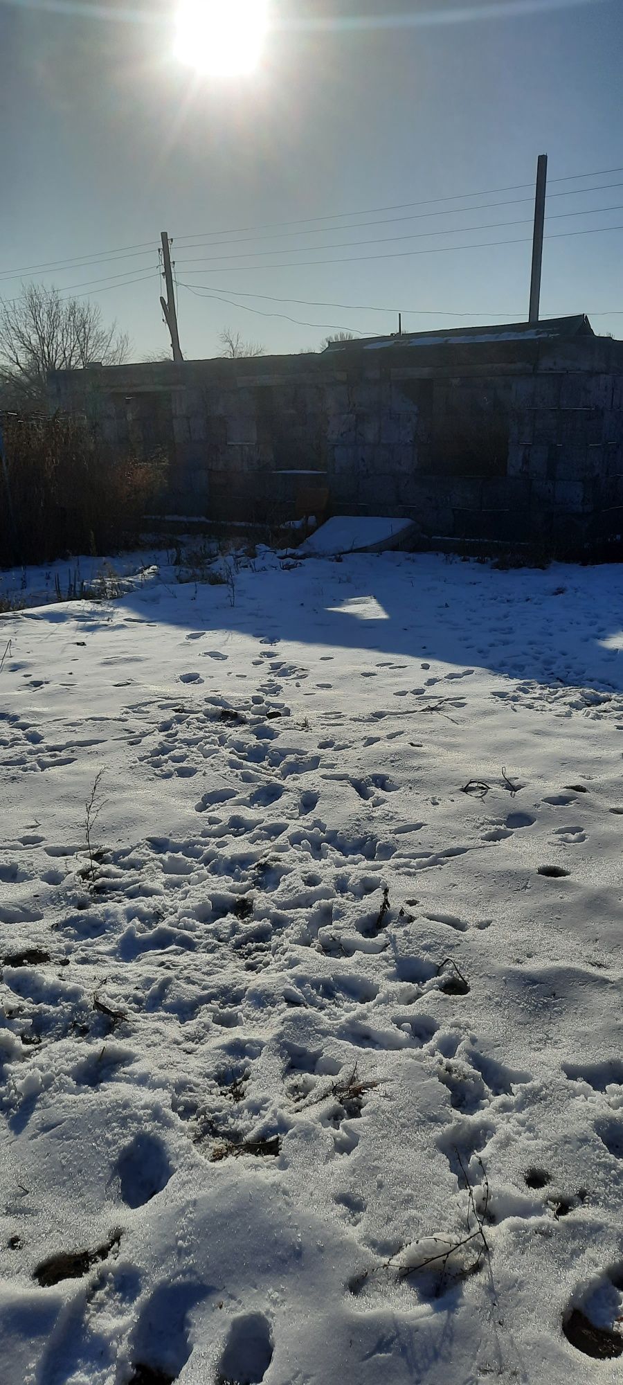 Дача на бабровке